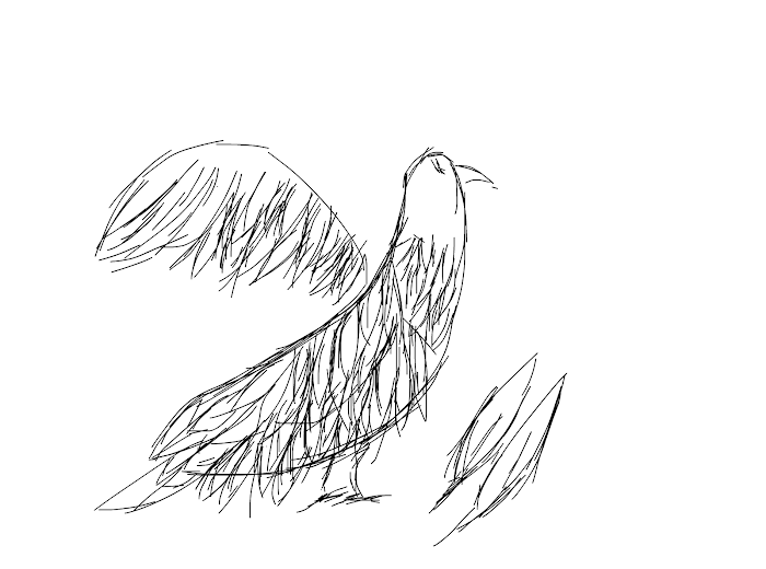 Feathers