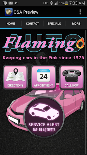 Flamingo Auto Repair