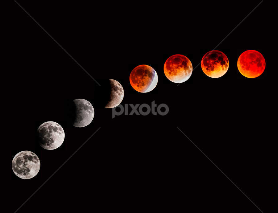 Lunar Eclipse April 2014 by Joe Saladino - News & Events Science