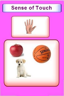 How to install Education - Five Senses 1.0 unlimited apk for android