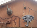 Animal Wall