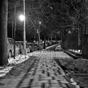 by Leann Shamash - City,  Street & Park Night