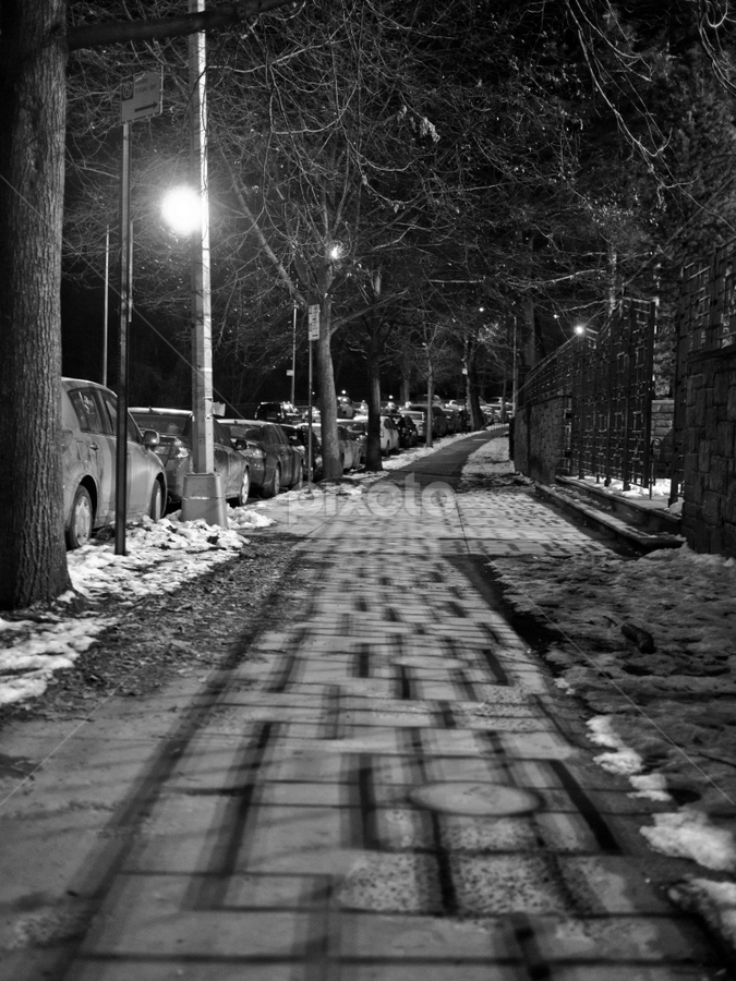 by Leann Shamash - City,  Street & Park Night