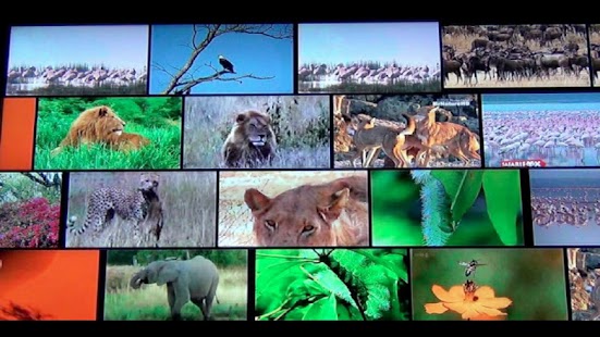 How to mod Video Wall for Google TV 1.3 mod apk for pc