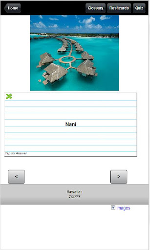 免費下載旅遊APP|300 Hawaiian Word Dict & Quiz app開箱文|APP開箱王