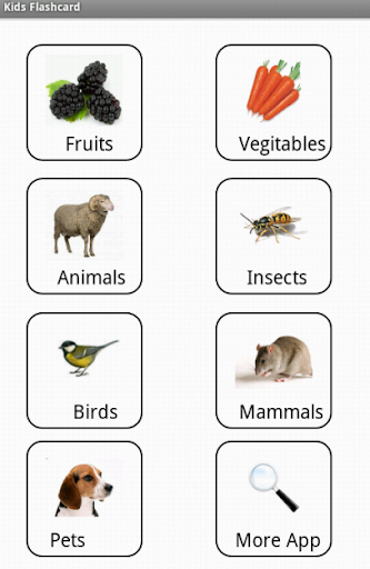 Flashcard:Vegetables Animal