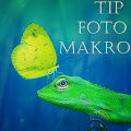 Tip Foto Makro Apk