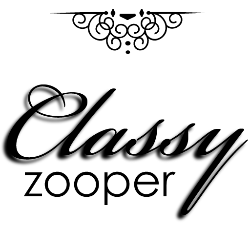 Classy Premium Zooper Widget LOGO-APP點子