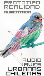 Lastest Aves de Chile AR APK for PC