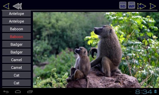 Animal ABC Book Screenshots 1
