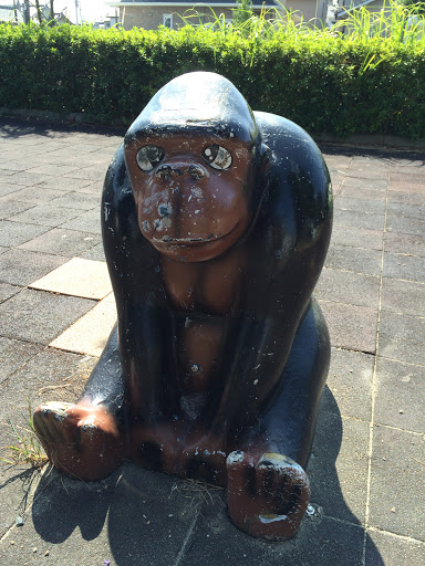 遠州浜公園 gorilla
