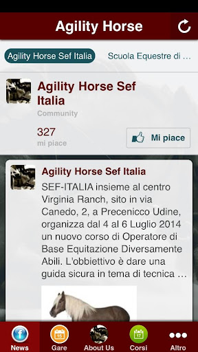 Agility Horse SEF Italia