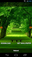 Captura de pantalla de Natural wallpaper APK #3