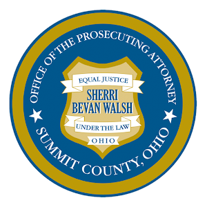 Summit County OH Child Support.apk 4.0.3