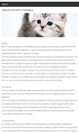 【免費健康App】Gatos, Primeros Auxilios-APP點子