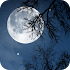 Relax Night ~ Nature Sounds4.6.2