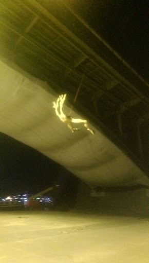 Flying Bridge Art