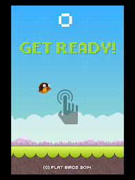 Flat Birds poster 12