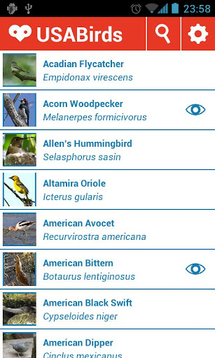 USA Birds - Birdwatching App