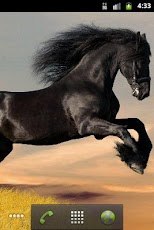 Horse HD Live Wallpaper