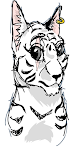 when pet stores call tabbies tigers