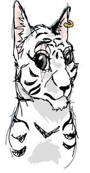 when pet stores call tabbies tigers