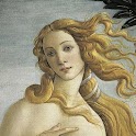 Botticelli Wallpapers logo