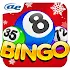 AE Bingo: Offline Bingo Games1.0.0.7