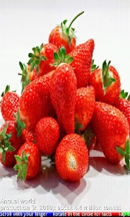 Fruits and Berries - náhled