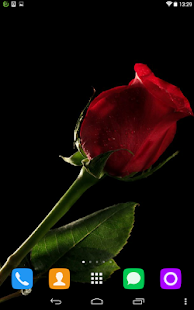 How to install Multicolored Roses patch 1.1.1 apk for laptop