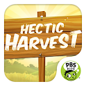 Hectic Harvest