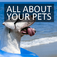 All About Your Pets