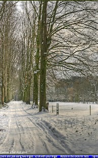 The Four Seasons - náhled