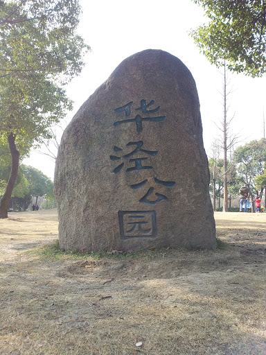 华泾公园