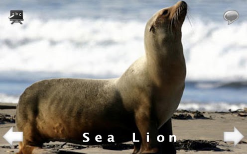 How to mod Animal Sounds and Spell HD lastet apk for laptop