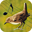 Birds Voices mobile app icon