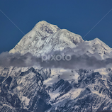 White beauty by Amrita Bhattacharyya -  