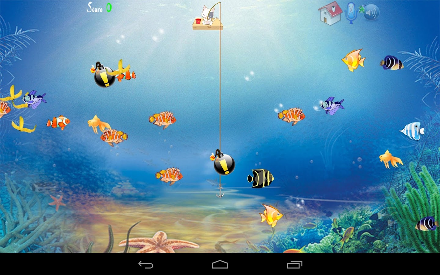 Cat Fishing Android Apps on Google Play