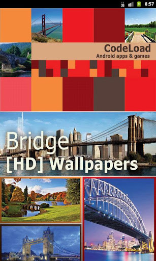 Bridge [HD] Wallpapers