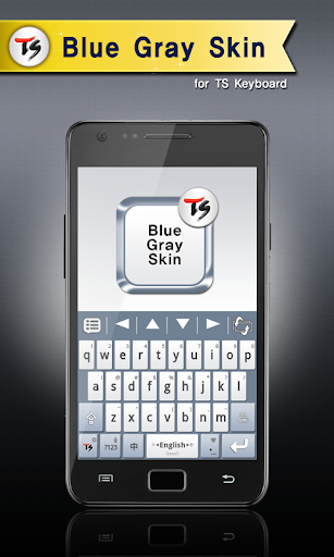 Blue Gray Skin for TS Keyboard