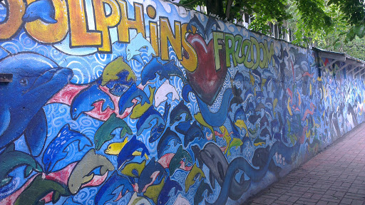 Dolphins Freedom Art