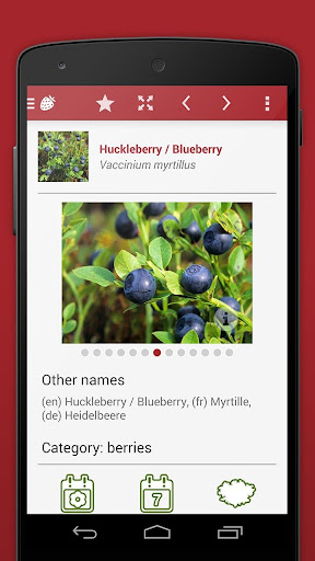 【免費書籍App】Wild Berries and Herbs 2 LITE-APP點子