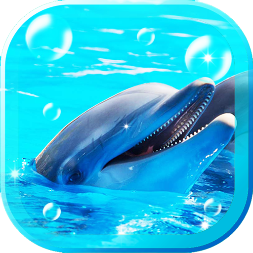 Dolphin api