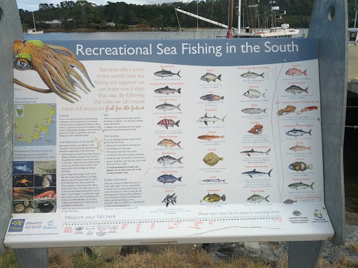 Recreational Sea Fishing In The South 