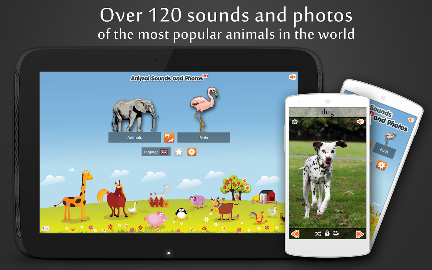 Hight FPS Animal Sounds Google Home for Kids