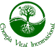 Energia Vital International logo