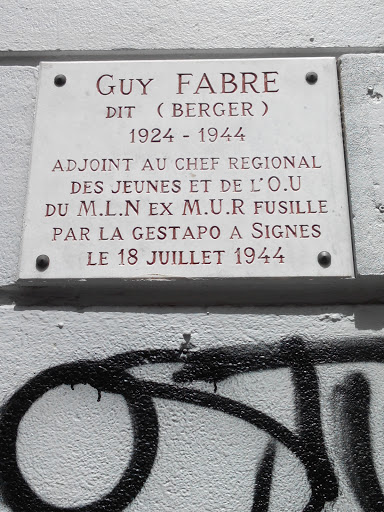 Guy Fabre