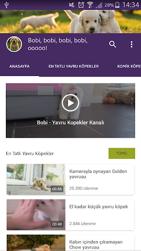 Yavru Köpek Videoları