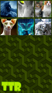 How to get Cat Sliding Puzzle 0.2 apk for pc