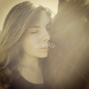 a horses love by Alannah Melton - Uncategorized All Uncategorized